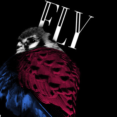 Fly Away Bird Unisex T-shirt