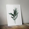 Botanical Art Prints Living Room Home Décor 03 - Kuzi Tees