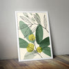 Botanical Art Prints Living Room Home Décor 16 - Kuzi Tees