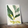 Botanical Art Prints Living Room Home Décor 19 - Kuzi Tees