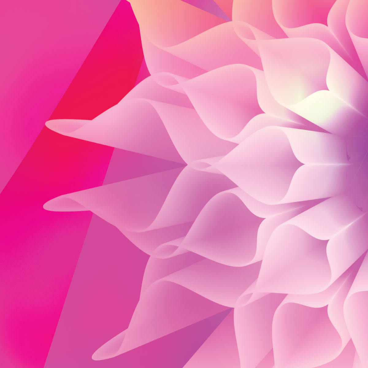 Nature Pink & Purple Detail Flower Falling 3D Smashed Kitchen Wall A2 Poster Art - Kuzi Tees