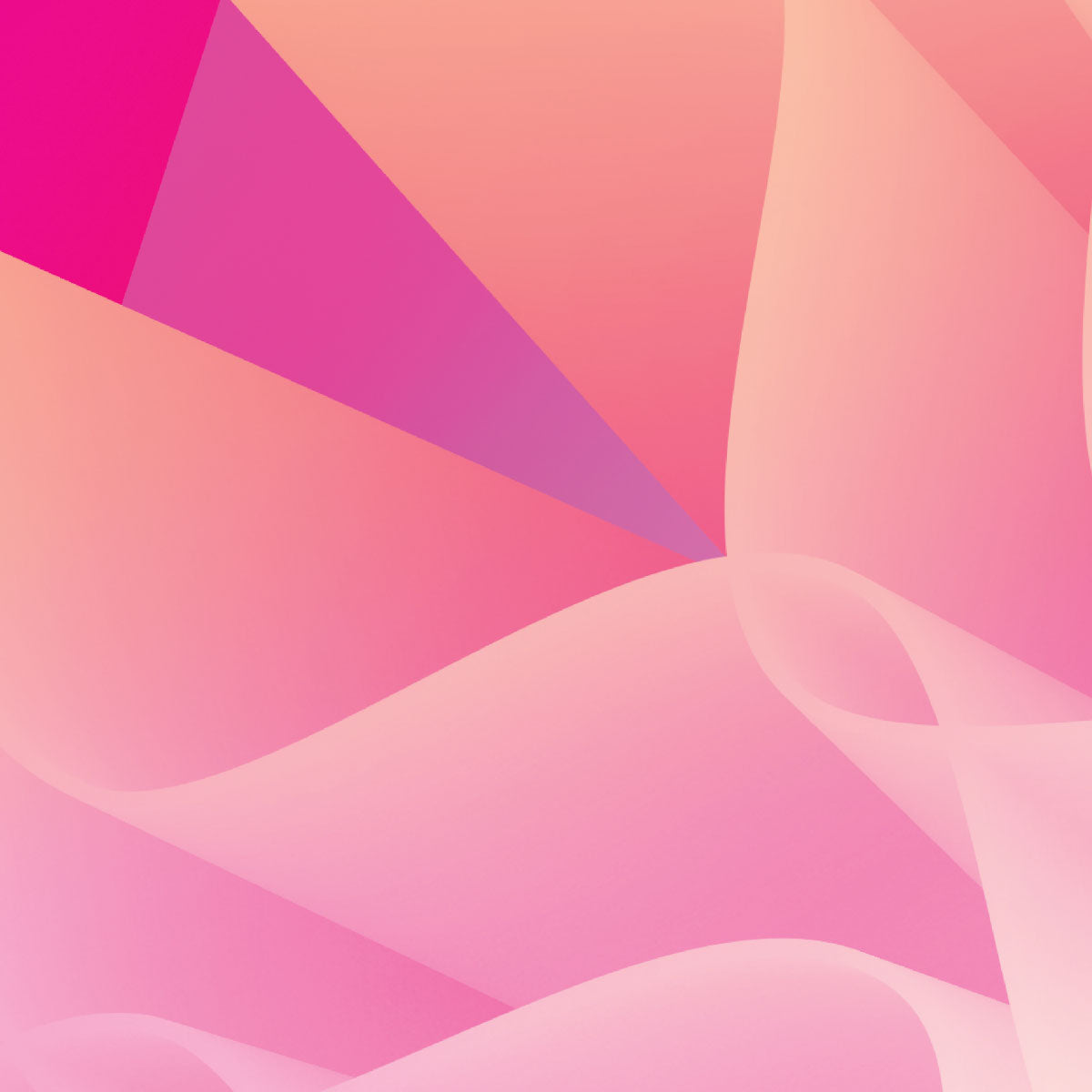 Nature Pink & Purple Detail Flower Falling 3D Smashed Kitchen Wall A2 Poster Art - Kuzi Tees