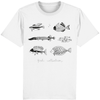 Hand Drawn 6 Fish Collection - Kuzi Tees