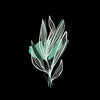 Botanical Leaf Floral T-Shirt Summer Colorful Art Print Plant Abstract T-shirt for Kids - Kuzi Tees