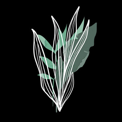 Botanical Wild Leaf Design T-Shirt Colorful Art Print Plant Women Kids Unisex T-shirt - Kuzi Tees