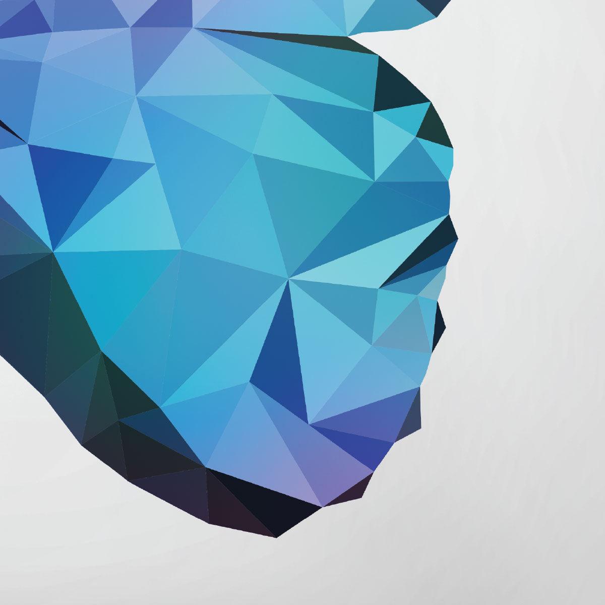 Geometric Butterfly Low Poly A2 Print Poster Wall Art Triangular Abstract Unique - Kuzi Tees
