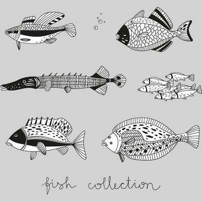 Hand Drawn 6 Fish Collection - Kuzi Tees
