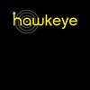 Hawkeye Marvel Superhero Comic Jeremy Renner Hailee Adult Unisex T-Shirt - Kuzi Tees