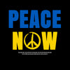 Peace Now T-shirt Greenpeace Ukraine War Stop Russian Aggression - Kuzi Tees
